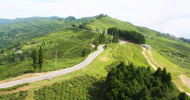 Koshi Province