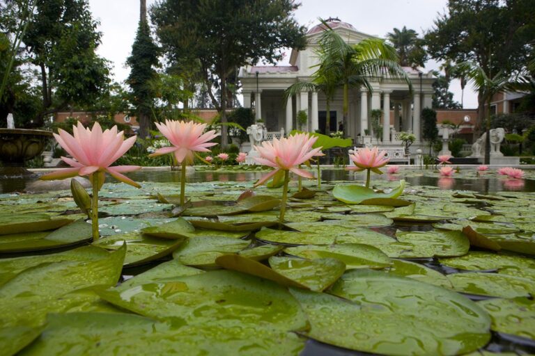 GARDEN OF DREAMS